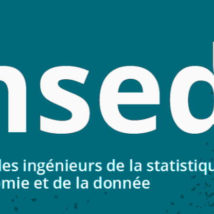 Ingénieurs de la statistique, de l'économie et de la donnée (ex- administrateurs de l'Insee)