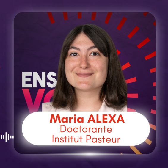 Podcast: Maria Alexa, pursuing a thesis in the healthcare field